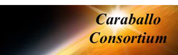 Caraballo Consortium